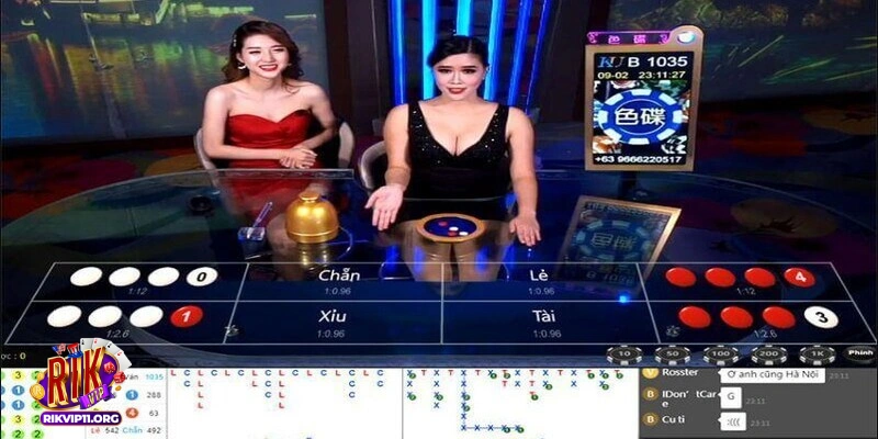 Xóc đĩa mạng có bịp không tìm hiểu sự thật về trò chơi này